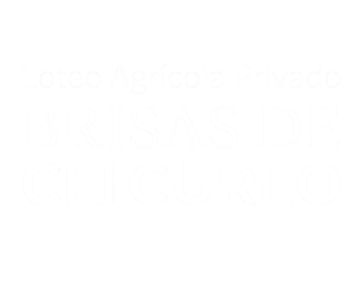Asamblea Las Brisas